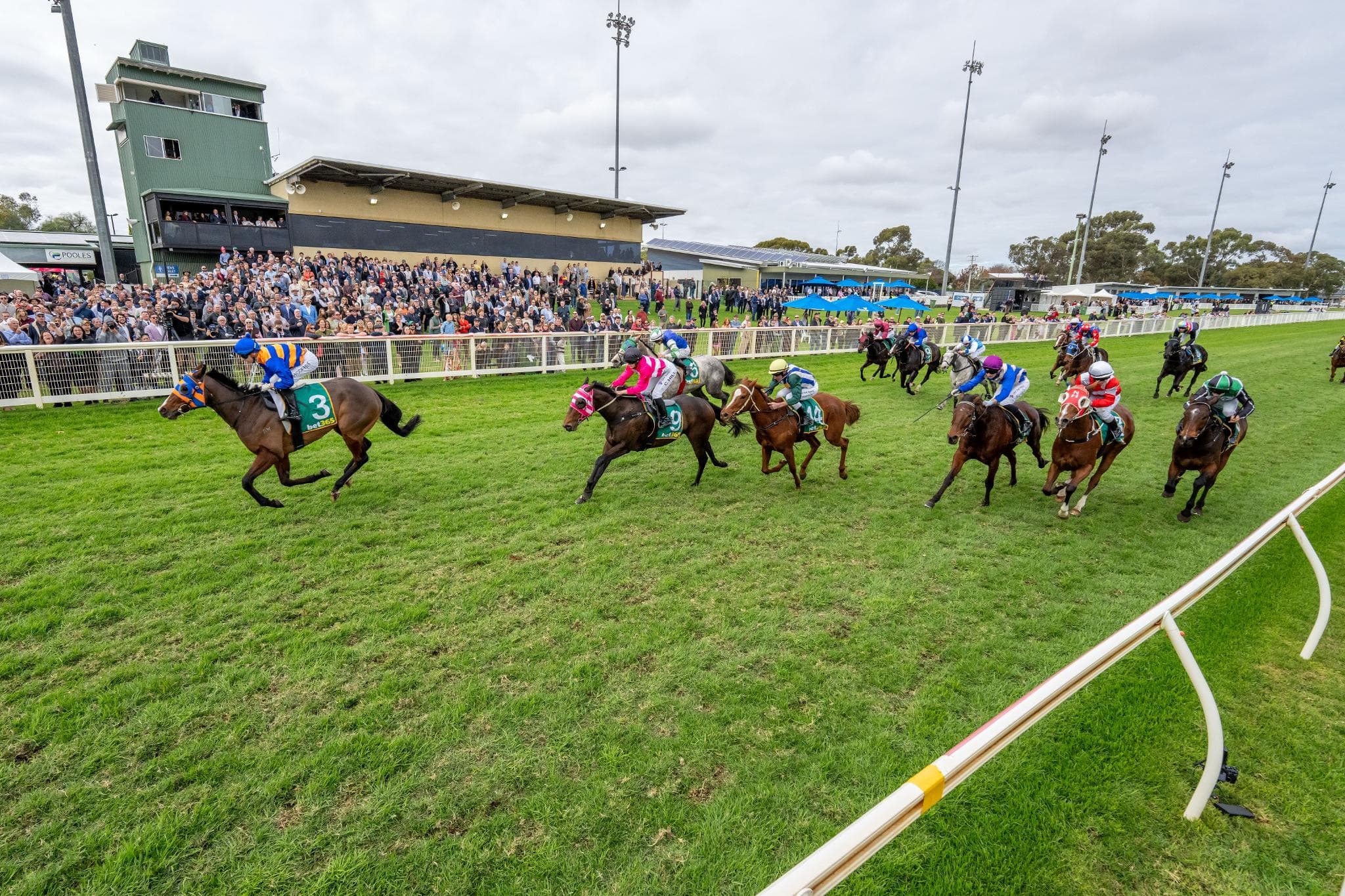 Infer wins at stable debut
