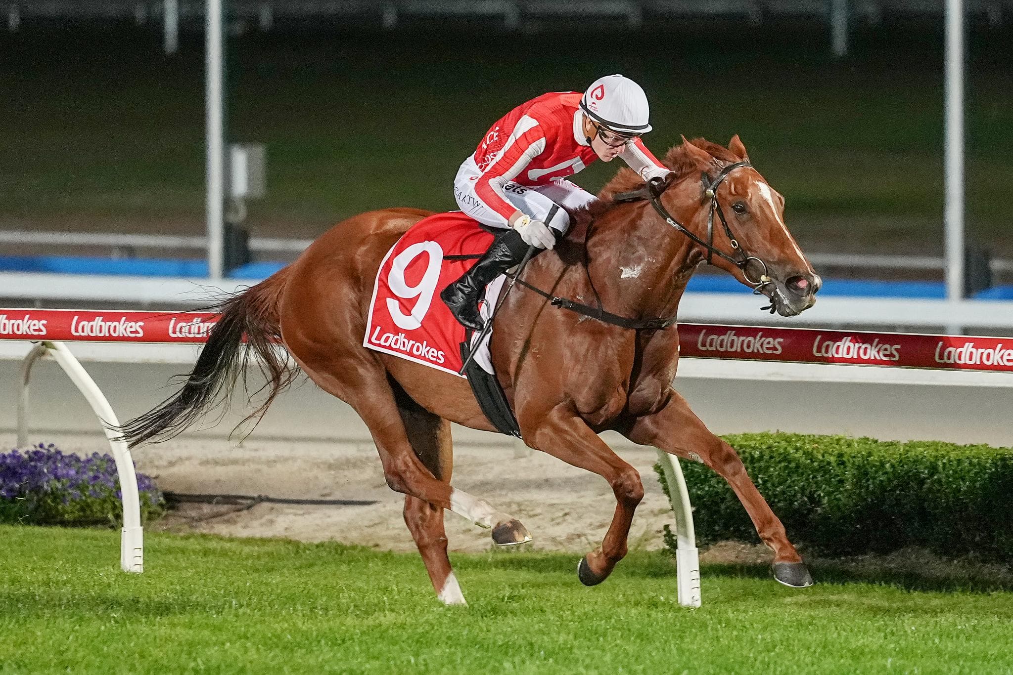 Lake leads 55 Second Challenge