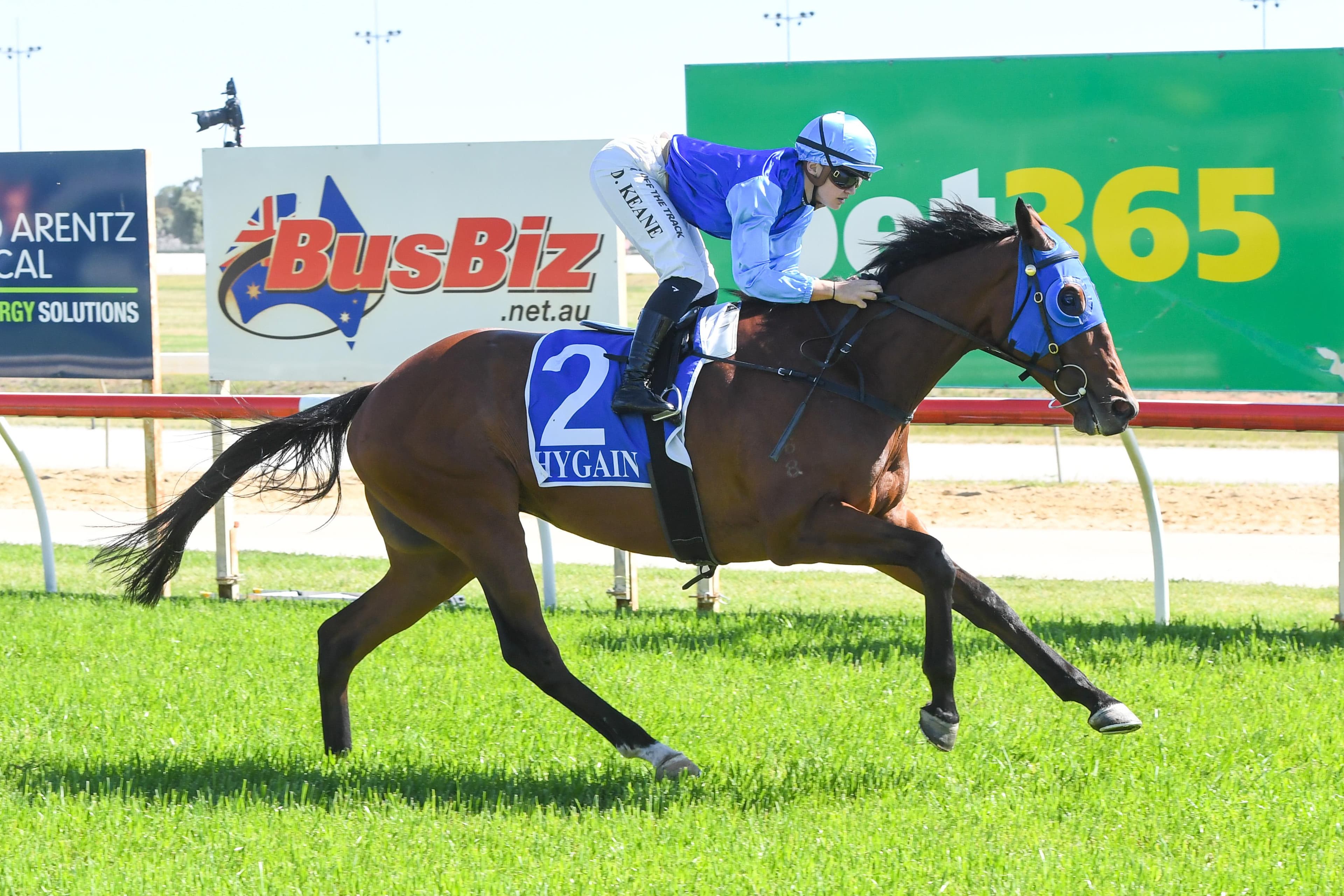 Swan Hill suits Dandruff just fine