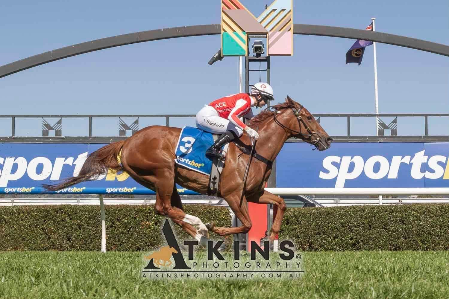 Lake's Adelaide raid pays off